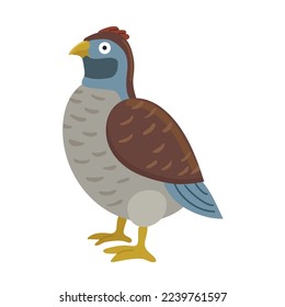 Quail bird isolated vector illustration