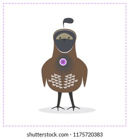 Quail bird, little funny quail vector