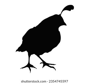 Icono de vector de silueta de ave de codorniz sobre un fondo blanco.