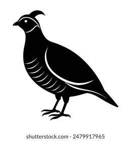 Quail Bird Silhouette Vector Illustration