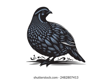 quail bird silhouette vector image 