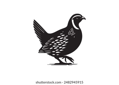 quail bird silhouette vector image