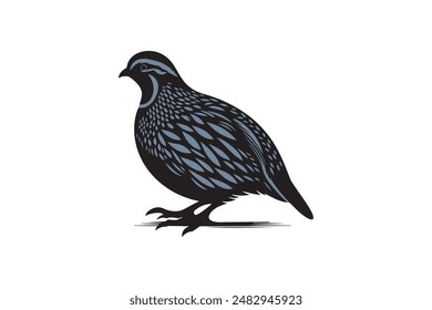 quail bird silhouette vector image