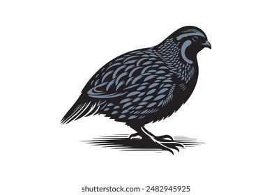 quail bird silhouette vector image