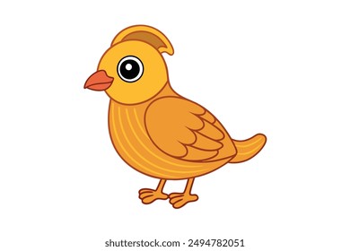 Codorniz pájaro de pie color Ilustración vectorial. 