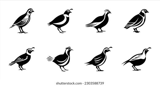 Quail bird vector clipart bundle