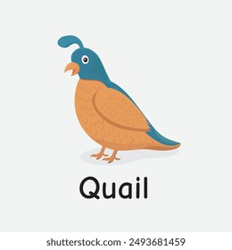 Quail Cartoon Vector Illustration for Kids Learning, Posters, Cards, and Sublimation Prints on White Background