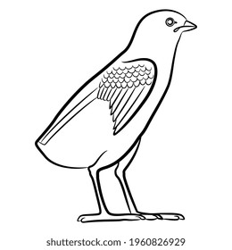 Quail chick. Ancient Egyptian bird hieroglyph. Animal design. Black and white linear silhouette.