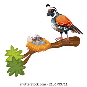 Quail and chick on the branch illustration