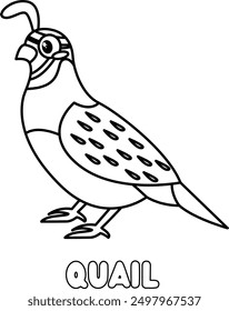 quail coloring  pages , quail coloring book