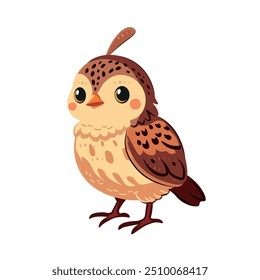 Quail cute childish  cartoon illustration. Vector quail isolated on white background Flat design element