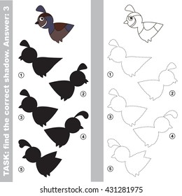 Quail with different shadows to find the correct one. Compare and connect object with it true shadow. Easy educational kid gaming. Simple level of difficulty. Visual game for children.