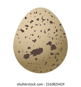 Quail egg is brown with spots