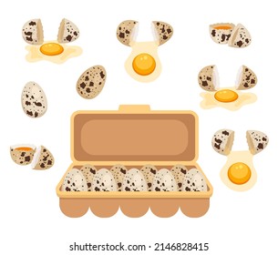 Quail egg isolated design element set collection. Vector flat cartoon design element illustration
