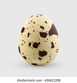 Quail egg isolated on white background. Healthy and natural food. Vector illustration