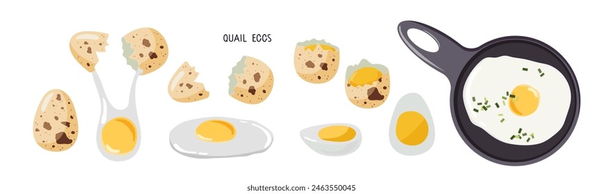 Quail egg set. Raw and boiled eggs food, breakfast eggs with fresh quail eggs on white background. Natural healthy food protein cooking ingredient. Flat design for menu, cafe,cooking class, recipes