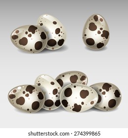 Quail eggs 2