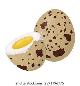 quail eggs. Boiled eggs in a shell. Vector illustration