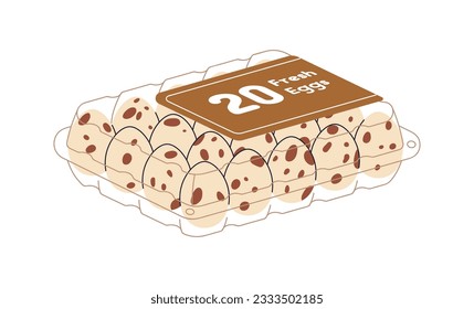 Quail eggs in box, plastic package, packed in transparent container. Fresh raw food with speckled shell, spotty eggshell. Flat graphic vector illustration isolated on white background