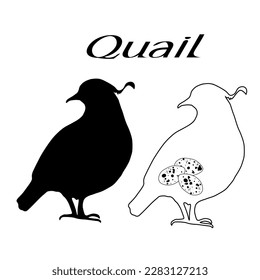 Quail eggs. Icon. Vector illustration. Label.Creative logo, icon, symbol, badge, emblem for avian or partridge poultry. Lettering
