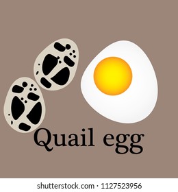 Quail eggs icon - vector illustrator