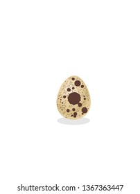 Quail eggs on a white background. Vector illustration