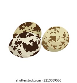 Quail eggs on white background