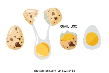 OEufs de caille. OEufs crus et bouillis, oeufs de petit-déjeuner avec oeufs de caille frais sur fond blanc. Ingrédient de cuisson naturel des protéines alimentaires saines. Conception à plat pour le menu, le café, les cours de cuisine, les recettes