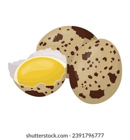 quail eggs. Raw eggs in a shell. Vector illustration