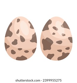 Quail eggs.Natural bird egg. Vector flat illustration.Isolated on white background.