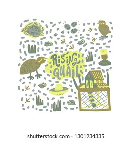 Quail farming modern concept of flat design for merch, banners and package. Hand drawn vector illustration. Set of food 
objects.