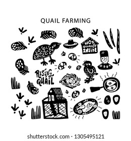 Quail farming modern concept of flat design for merch, banners and package. Hand drawn vector illustration. Set of food 
objects.