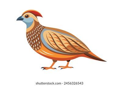 Quail flat vector illustration on white background