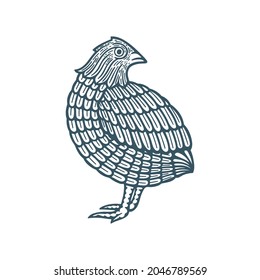 Calma. Ilustración del vector de codorniz dibujado a mano. Parte del conjunto.
