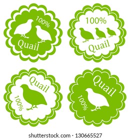 Quail meat vector background label stamp green farm ecology concept