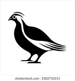 Quail pheasant bird vector clipart