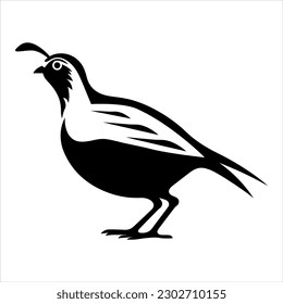 Quail pheasant bird vector clipart