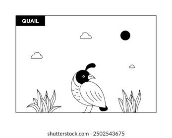 Vista lateral de codorniz, blanco y negro, contorno, Ilustración vectorial de pájaros.