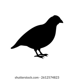 Quail silhouette icon vector flat design on white background.