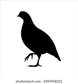 Quail silhouette on white background. Quail icon vector sign illustration design.
