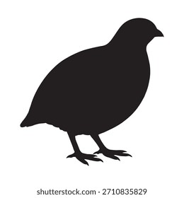 Icono de pájaro de Vector de silueta de codorniz