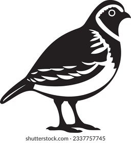 Quail standing, Basic simple Minimalist vector graphic, isolated on white background, black and white
