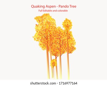 Quaking aspen Pando tree Flat vector Icon illustration full editable	
