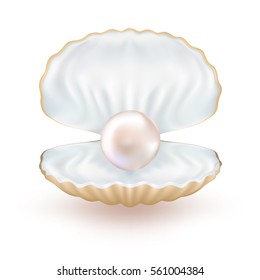 Quality Beautiful Natural Open Shell. realistic. Pearl in shell isolated on white background. Shiny. pearl shell, jewelry. Object Image. Vector Illustration.