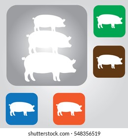 Quality black and white vector silhouettes of pigs. Butchery illustration over color background. Modern flat pictogram, business, marketing, internet concept. Pigs Icon.