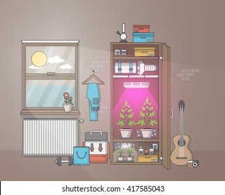 Quality Flat Design of marijuana growing in cabinet. Vector illustration