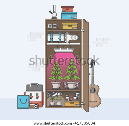 Quality Flat Design of marijuana growing in cabinet. Vector illustration