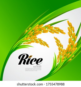 Quality Premium Rice design concept.  A great vector.