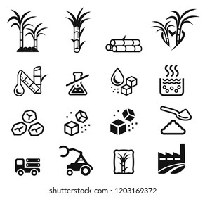 Quality sugar product from sugarcane factory (icon concept.)