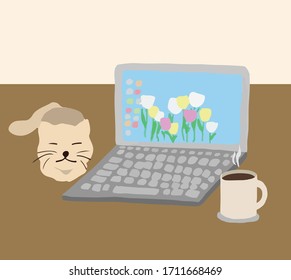 quarantine and work from home with a cat